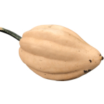 Baked Potatoes